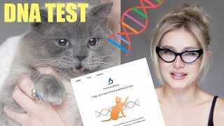 Did a DNA Test For My Cat! 😱🐈 / Wisdom Panel Cat Test Review / Nina Tribus