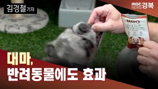 [K헴프 14] \