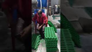 Packing and Production going on Of Goat and Sheep Farming Slatted Flooring Mats