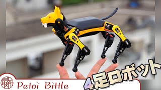 Free programming! Palm-sized dog-shaped robot　自由にプログラミング！手のひらサイズの犬型ロボット