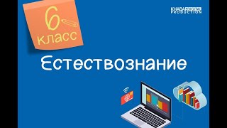 Естествознание. 6 класс. Значение давления для живых организмов