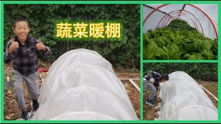 10岁孩子全程操作的暖棚， 简单/结实/美观  Simple, sturdy hoop house built by a 10 year old