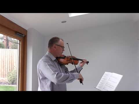 Trinity Violin Grade 1 Study 2 A Cheeky Hamster - YouTube