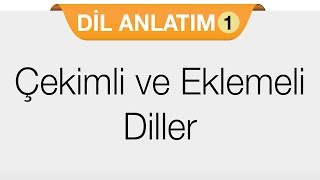 Dil Ailesi - Yapı Bakımından Diller - Çekimli ve Eklemeli Diller