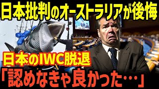 【海外の反応】日本がIWCを脱退して数年…「脱退させなければよかった…」日本を批判していたオーストラリアが大後悔⁉【グレートJAPANちゃんねる】