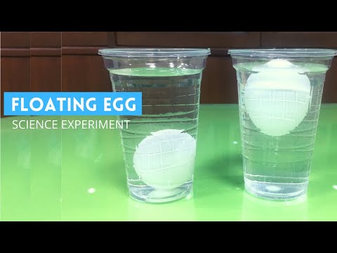 What causes egg to float?