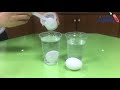 Floating Egg Experiment  Why Eggs Float in Salt Water  The Egg and Salt Experiment