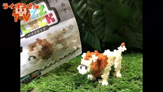 立体パズルでライオンさんを作るよ！目指せ動物園！【パズブロック】