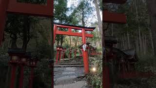 【京都】貴船神社 中宮