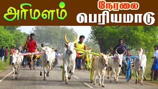 Arimalam பெரியமாடு நேரலை # Arimalam periyamadu  Live