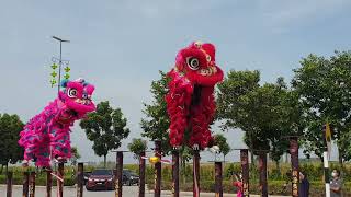 Acrobatic Lion Dance by Sheng Wai KL at twentifive.7 Experience Gallery Grand Re-opening