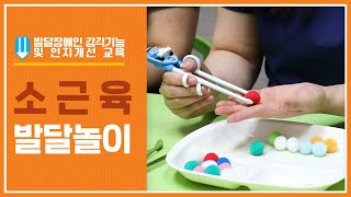 [발달장애인 감각기능 및 인지개선 교육 #2] 소근육 발달놀이