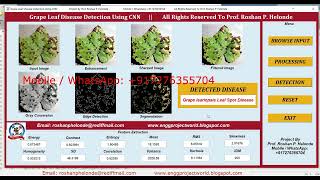 Grape Leaf Disease Detection Using CNN With Source Code Grape Plant Disease Detection Matlab Project