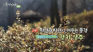 [예고] 풍경여지도 - 자연과 시간이 머무는 풍경 – 경기 양주 1부 / 연합뉴스TV (YonhapnewsTV)