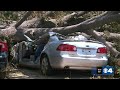 Tree that killed woman in deadly storm still sitting 10 days later