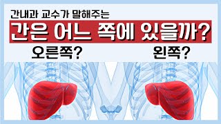 간은 왼쪽에 있을까 오른쪽에 있을까?