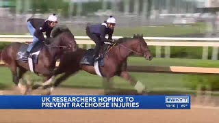 WATCH | UK researchers working on study aimed at preventing racehorse deaths