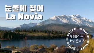 La Novia//팬플룻 윤세자