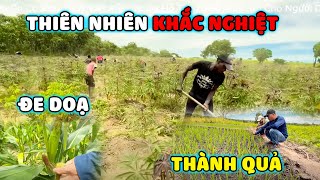 Thế Nhân || Thiên Nhiên Khắc Nghiệt Đang Trực Tiếp Đe Doạ Đến Thành Quả Nông Nghiệp Của Người Dân