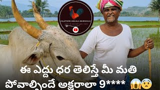 ఈ ఎద్దు ధర తెలిస్తే మీ మతి పోవాల్సిందే అక్షరాలా 9***** 😱😨 #jallikattu #bullsale #bullsrace