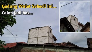 Gedung Walet Ukuran Kecil Sudah Terlihat Hasilnya, mantap banget bos ku... Walet Liur Mulia