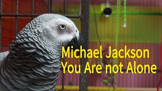 [연구대상]똘이\u0026루비:팝송을배웠어요~You Are Not Alone - Michael Jackson