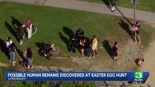 Possible human remains found during Easter egg hunt at DeForest Park