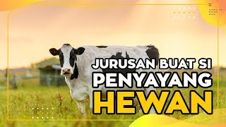 Fakultas Peternakan Jurusan buat si PENYAYANG HEWAN?