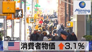 米消費者物価 ↑3.1%　伸び率縮小【モーサテ】（2023年12月13日）