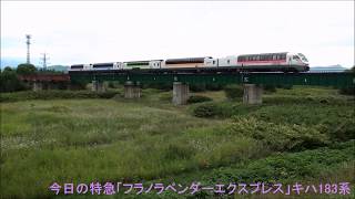 2017年８月１８日（金）今日の特急「フラノラベンダーエクスプレス４号」7044D キハ183系5200番台（ノースレインボーエクスプレス） 富良野行【汽笛付】