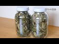 びわの葉茶 作り方　how to make loquat leaf tea