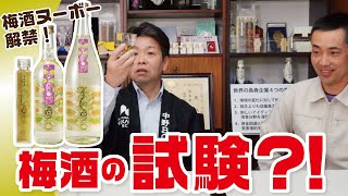 試験をクリアしたお酒とは？！梅酒ヌーボー2022がついに解禁！！