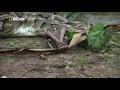 Download Шокирующая еда Shocking food 2013 HD In Mp4 3Gp Full HD Video