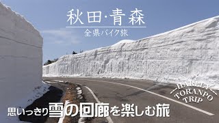 【ブレイクアウト】ハーレーで八幡平アスピーテラインへ | 夢の雪の回廊を走る | 秋田と青森の絶景旅【ハーレートランポ旅】