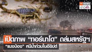 เปิดภาพ “ทอร์นาโด” ถล่มสหรัฐฯ “แมงป่อง” หนีน้ำท่วมในอียิปต์ | TNN ข่าวค่ำ | 14 พ.ย. 64