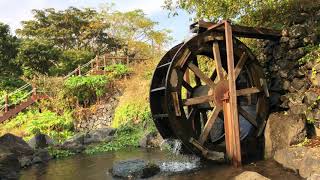 돌고 도는 물레방아 | water wheel | 멍때리기 | Space Out | Zone Out | 사색 | 명상