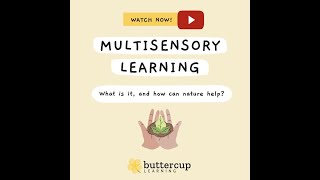 Multisensory Learning