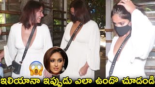 ఇలియానా ఇప్పుడు ఎలా ఉందొ చూడండి😱 Ileana D'Cruz Latest Visuals|ILeana Latest video|Sankharavam