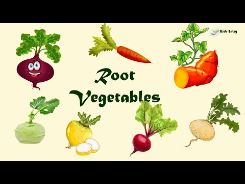 10 Ways to Use Root Vegetables