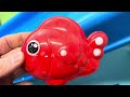 sea animal toys down a slide with flash cards and names in english