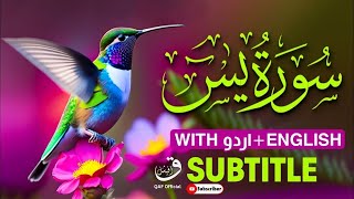 🔴LIVE Surah Ya-sin | Surah Yaseen full | سورۃ یس | with Urdu \u0026 English |   @qafofficial