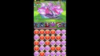 パズドラ　紫の華龍　サタンパ　puzzle and dragons 　purple flower dragon