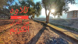 تلاوه عطره من القران الكريم#يوتيوب