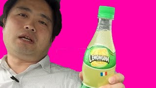 皮まで一緒に絞った天然の味わい レモンジーナ 土の味などしません Lemongina