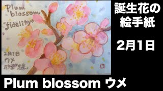 誕生花の絵手紙　2月1日　Plum blossom ウメ