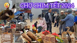 CHỢ CHIM CẢNH CHỢ TẾT 2024 MỌI NGƯỜI NÁO NỨC MANG CHIM RA BÁN NHƯ BÁN RAU