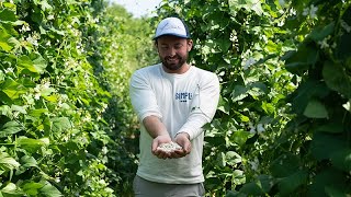 SIMPLi iNFORMED: Gigante Beans from Kastoria, Greece