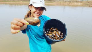 งมหอยกาบ looking for fresh water clams in Laos