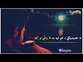 pashto top songs jwand yawa loya shaogira da