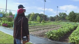 Market Seven addresses food deserts in DC's Ward 7